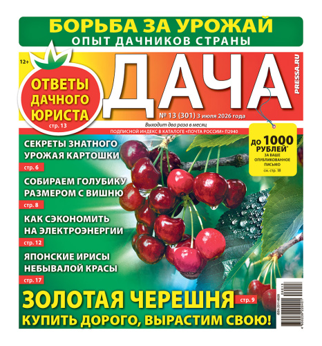 Газета ДАЧА